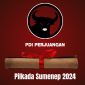 Inilah 9 Figur yang Berebut Rekom Cawabup Sumenep dari PDI Perjuangan (Ilustrasi/nolesa) 