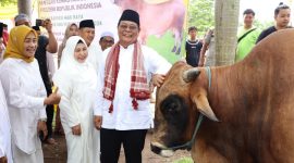 Gubernur Kalsel Sahbirin Noor menyerahkan bantuan kemasyarakatan berupa sapi kurban kepada Takmir Masjid Agung Al Karomah Banjar (Foto: infopublik) 