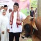 Gubernur Kalsel Sahbirin Noor menyerahkan bantuan kemasyarakatan berupa sapi kurban kepada Takmir Masjid Agung Al Karomah Banjar (Foto: infopublik) 