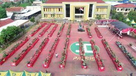 Ribuan bonsai siap memeriahkan Pameran dan Kontes Bonsai yang diadakan Polres Sumenep (Foto: istimewa) 