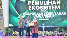 Wakil Bupati Sumenep Hj. Dewi Khalifah mewakili Bupati Sumenep Dr. H. Achmad Fauzi Wongsojudo menerima penghargaan sinergi dan kolaborasi penyuluhan bidang hehutanan dari Gubernur Jawa Timur, Jumat 26/7/2024 (foto: istimewa) 