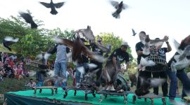 Bupati Sumenep, Dr. H. Achmad Fauzi Wongsojudo secara simbolis membuka Festival Dara Oddag di Desa Semaan, Dasuk, Minggu 11/8/2024 (foto: ist) 