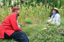 Bupati Sumenep Dr. H. Achmad Fauzi Wongsojudo berbincang dengan petani di Kecamatan Ganding (foto: ist) 