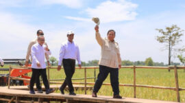 Presiden Prabowo ditemani Mentri Amran di sebuah lahan pertanian (foto: ist) 