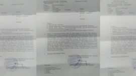 (for NOLESA.COM) 