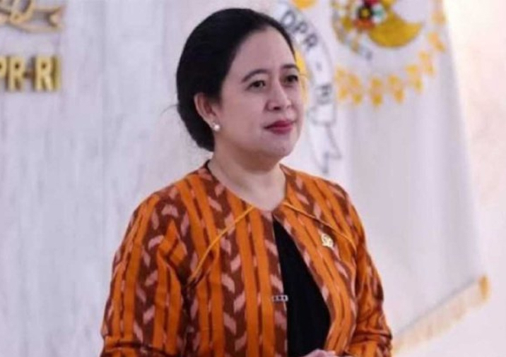 Ketua DPR RI Puan Maharani (foto: IST) 
