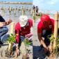 KOICA KOSA bersama Pemerintah Kabupaten Sumenep, Madura, Jawa Timur menggelar aksi bakti sosial penanaman 10.000 bibit mangrove di kawasan pesisir Dermaga Cangkarman, Desa Aengbaja Kenek, Kecamatan Bluto, Sabtu, 30/8/2025 (foto: IST) 