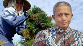 BPRS Bhakti Sumekar Siap Fasilitasi Modal Petani Rumput Laut (foto: ist) 