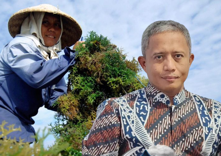 BPRS Bhakti Sumekar Siap Fasilitasi Modal Petani Rumput Laut (foto: ist) 