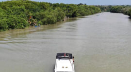 Wisata Susur Sungai Saroka Sumenep (foto: ist) 