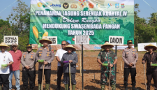 Wakil Bupati Sumenep, KH. Imam Hasyim menghadiri acara gerakan tanam jagung serentak di Kecamatan Lenteng, Rabu, 8/10/2025 (foto: ist)