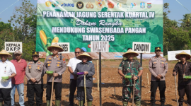 Wakil Bupati Sumenep, KH. Imam Hasyim menghadiri acara gerakan tanam jagung serentak di Kecamatan Lenteng, Rabu, 8/10/2025 (foto: ist)