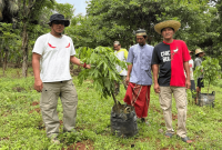 Darul Hasyim Fath legislator PDI Perjuangan Sumenep ikut menanam bibit pohon kelengkeng di Pulau Masakambing, Kecamatan Masalembu, Sumenep, Sabtu, 29/11/2025 (Foto: Ist)