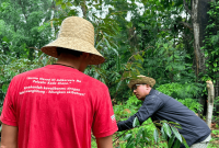Politisi PDIP Darul Hasyim Fath galakkan gerakan hijau di Pulau Masalembu (Foto: Ist)