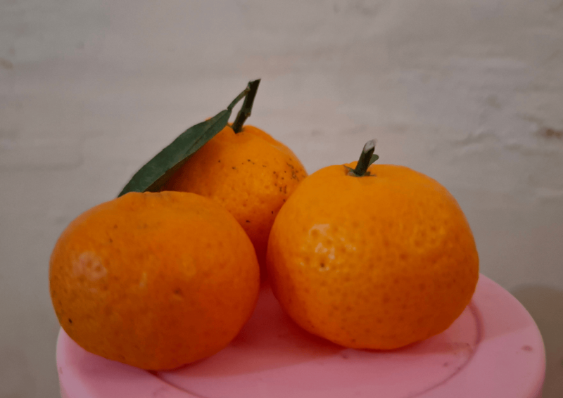 Jeruk santang atau jeruk mandarin kecil (Foto: NOLESA.COM)