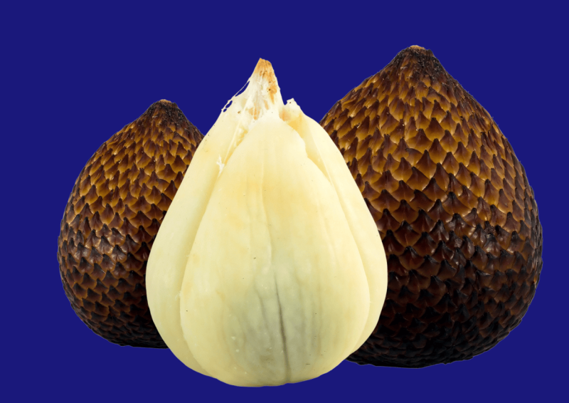 10 manfaat buah salak untuk kesehatan tubuh (Foto: Ist)