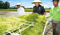 Bersama Petani, Bupati Bangkalan Semai Masa Depan Pertanian Modern