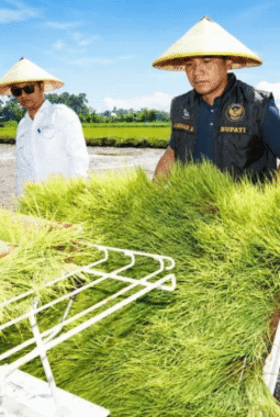 Bersama Petani, Bupati Bangkalan Semai Masa Depan Pertanian Modern