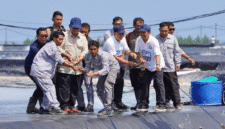 Presiden Prabowo terlibat langsung bersama para pekerja lokal di tengah tambak udang vannamei (Foto: Istimewa)