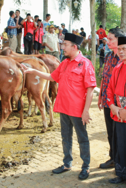 Said Abdullah Kembali Salurkan Hewan Kurban, Khusus Madura Sebanyak 298 Ekor Sapi