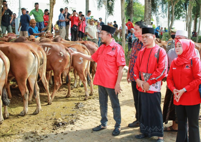 Ketua DPC PDIP Sumenep, Dr. H. Achmad Fauzi Wongsojudo menyerahkan sapi kurban Said Abdullah kepada penerima (Foto: Istimewa)