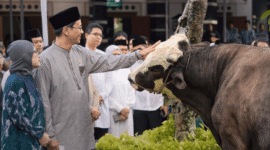 Menkeu Purbaya secara simbolis menyerahkan sapi kurbannya kepada panitia kurban Masjid Salahuddin DJP (Foto: Istimewa)