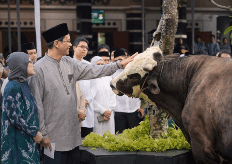 Menkeu Purbaya secara simbolis menyerahkan sapi kurbannya kepada panitia kurban Masjid Salahuddin DJP (Foto: Istimewa)