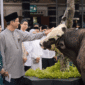 Menkeu Purbaya secara simbolis menyerahkan sapi kurbannya kepada panitia kurban Masjid Salahuddin DJP (Foto: Istimewa)