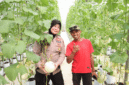 Kabag SDM Polres Sumenep, Kompol Widiarti S. mengunjungi panen melon di Desa Kasengan (Foto: Istimewa)