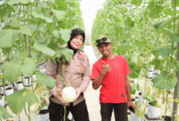 Kabag SDM Polres Sumenep, Kompol Widiarti S. mengunjungi panen melon di Desa Kasengan (Foto: Istimewa)