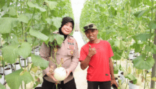Kabag SDM Polres Sumenep, Kompol Widiarti S. mengunjungi panen melon di Desa Kasengan (Foto: Istimewa)