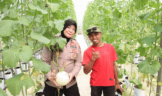 Polres Sumenep Dukung Pengembangan Pertanian Melon Berbasis Smart Farming