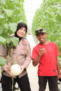 Polres Sumenep Dukung Pengembangan Pertanian Melon Berbasis Smart Farming