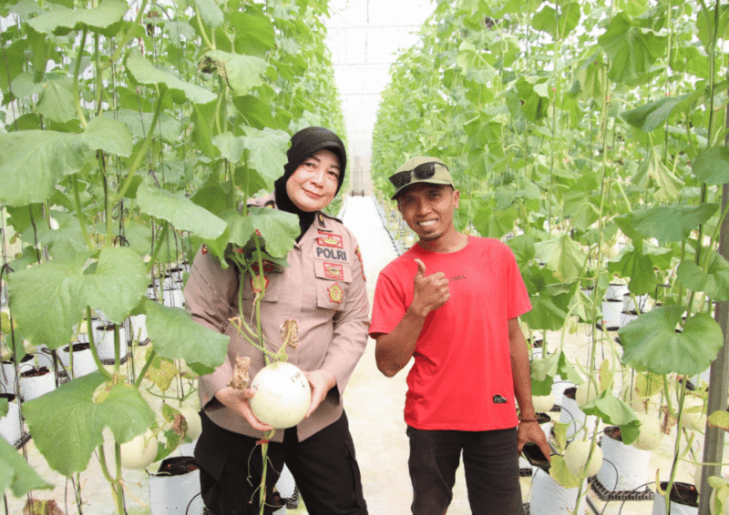 Kabag SDM Polres Sumenep, Kompol Widiarti S. mengunjungi panen melon di Desa Kasengan (Foto: Istimewa)