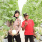 Kabag SDM Polres Sumenep, Kompol Widiarti S. mengunjungi panen melon di Desa Kasengan (Foto: Istimewa)