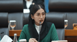 Anggota Komisi VII DPR RI Fraksi PDI Perjuangan, Novita Hardini (Foto: Istimewa)