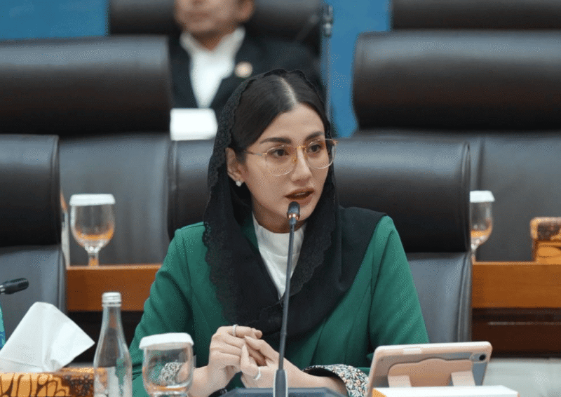 Anggota Komisi VII DPR RI Fraksi PDI Perjuangan, Novita Hardini (Foto: Istimewa)