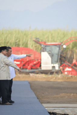 Presiden Prabowo Targetkan Indonesia Swasembada Gula dalam Dua Tahun