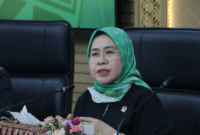 Anggota Panitia Khusus (Pansus) Daerah Kepulauan DPR RI dari Fraksi PKB, Siti Mukaromah (Foto: Istimewa)
