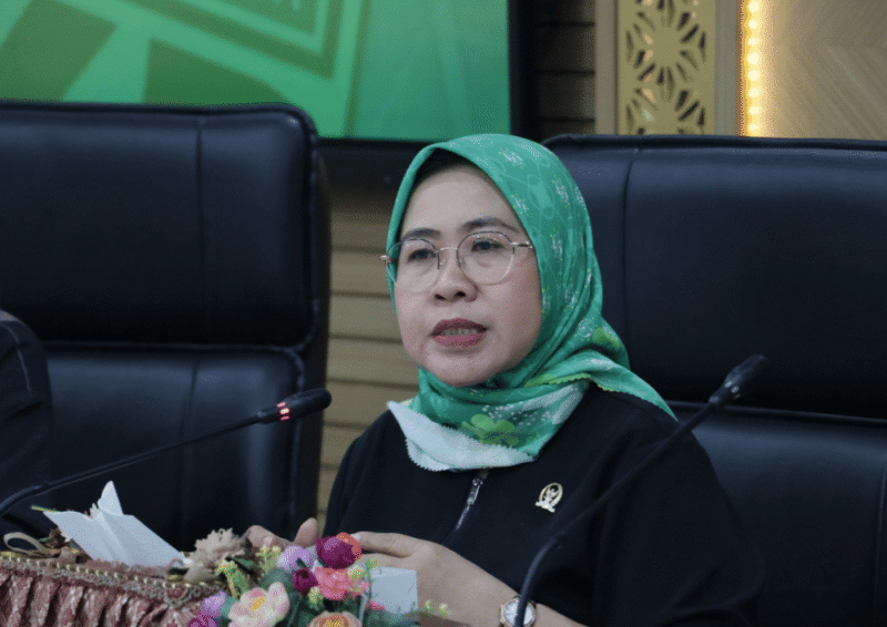 Anggota Panitia Khusus (Pansus) Daerah Kepulauan DPR RI dari Fraksi PKB, Siti Mukaromah (Foto: Istimewa)
