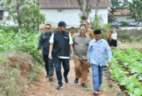 Dalam sebuah kesempatan Bupati Sumenep turun lapangan menemui petani tembakau (for NOLESA.COM)