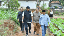 Dalam sebuah kesempatan Bupati Sumenep turun lapangan menemui petani tembakau (for NOLESA.COM)