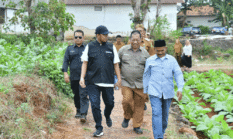 Bupati Sumenep Tetapkan Harga Impas Tembakau 2026, Lindungi Petani dari Harga Rendah