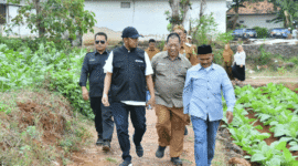 Dalam sebuah kesempatan Bupati Sumenep turun lapangan menemui petani tembakau (for NOLESA.COM)