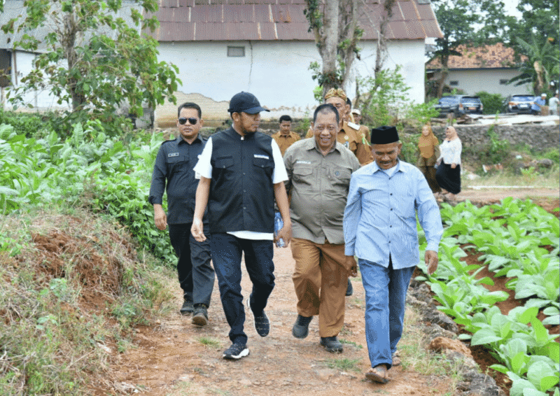Dalam sebuah kesempatan Bupati Sumenep turun lapangan menemui petani tembakau (for NOLESA.COM)