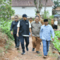 Dalam sebuah kesempatan Bupati Sumenep turun lapangan menemui petani tembakau (for NOLESA.COM)