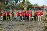 JMSI Sumenep tanam 1.500 pohon mangrove di Pantai Matahari (Foto: NOLESA.COM)