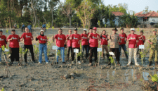 JMSI Sumenep tanam 1.500 pohon mangrove di Pantai Matahari (Foto: NOLESA.COM)
