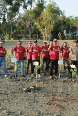 Pemkab Apresiasi Gerakan JMSI Sumenep Tanam 1.500 Pohon Mangrove di Pantai Matahari