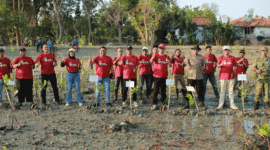 JMSI Sumenep tanam 1.500 pohon mangrove di Pantai Matahari (Foto: NOLESA.COM)